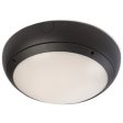 Ansell Lighting AVILED HP GR M3  Vision HP 31W 4000K Graphite LED Bulkhead - Emergency For Discount